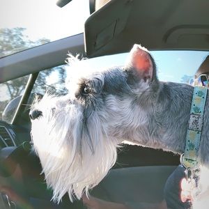 Meet your Posher, Mathew